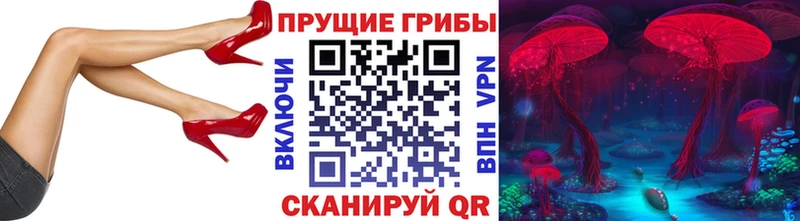 Псилоцибиновые грибы мухоморы  Киселёвск 