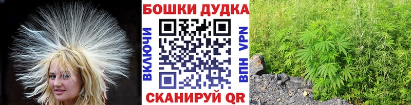 блэк спрут ONION Киселёвск Конопля семена